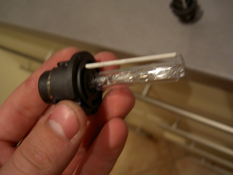 PICT6493.JPG