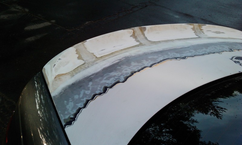 IMAG0167.jpg