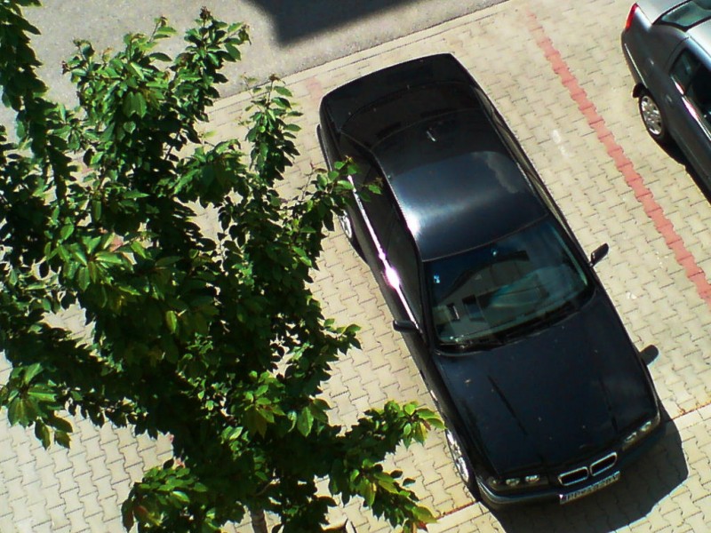 DSC00013.JPG