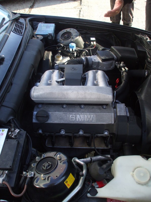 DSCF3502.JPG
