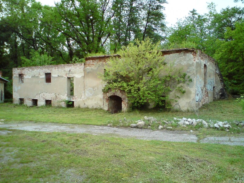 DSC00804.JPG