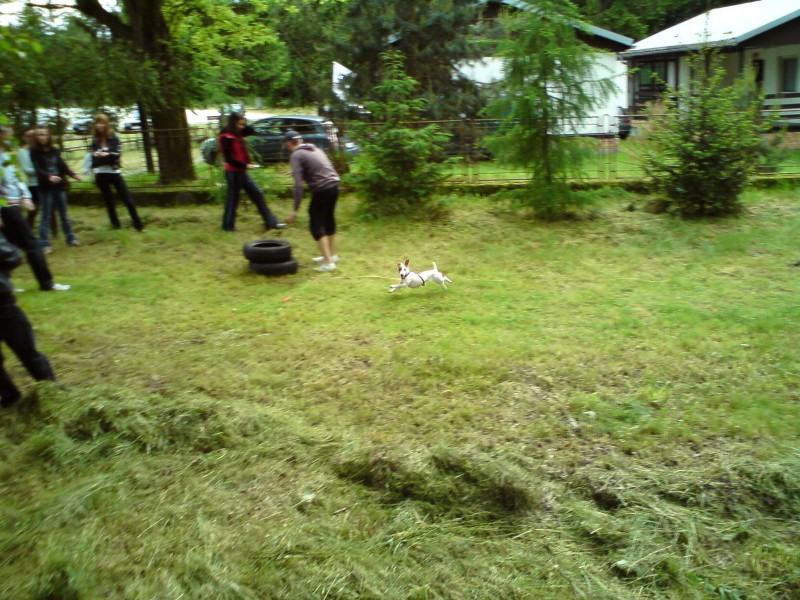DSC00815.JPG