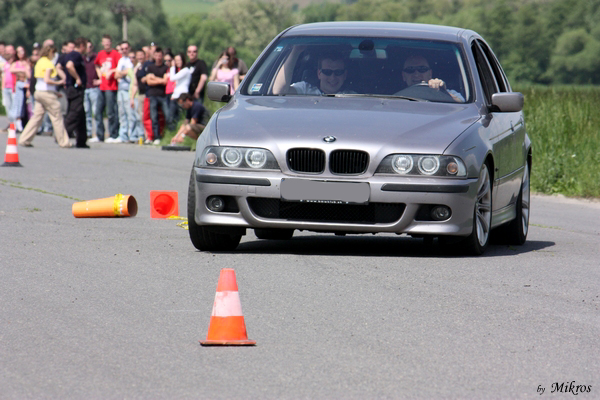 IMG_3369.jpg
