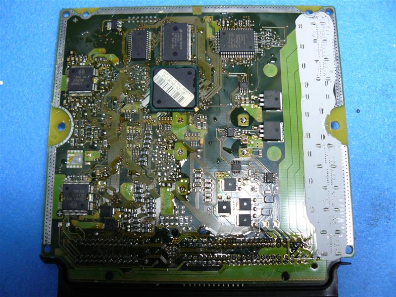 P1050218 (Medium).JPG