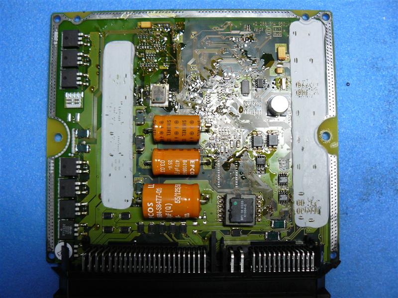 P1050217 (Medium).JPG