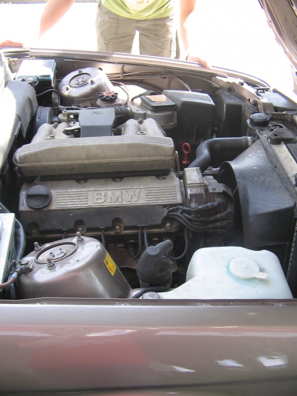 mlyncek 010.jpg