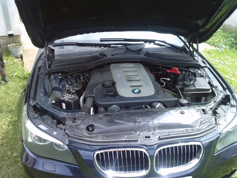 P280610_12.400001.JPG