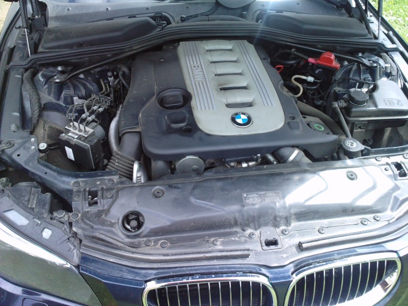 P280610_12.390001.JPG