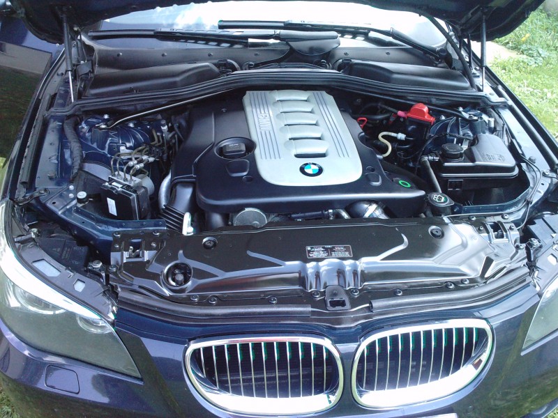 P280610_13.530001.JPG