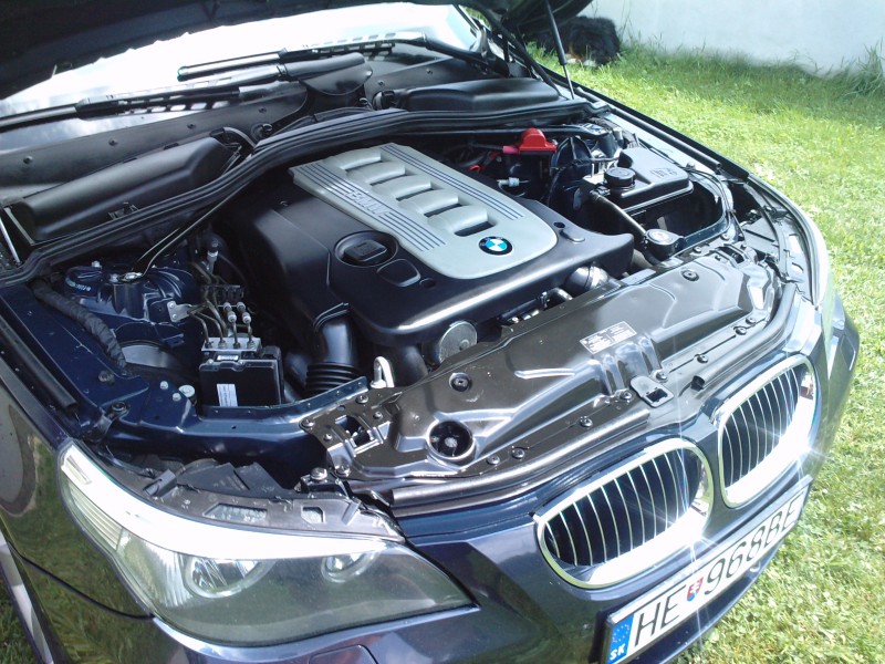 P280610_13.530002.JPG