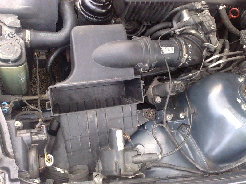 12062010545.jpg