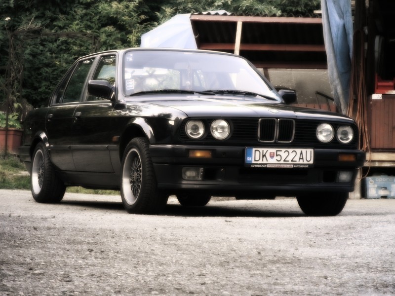 P7110043_1.jpg