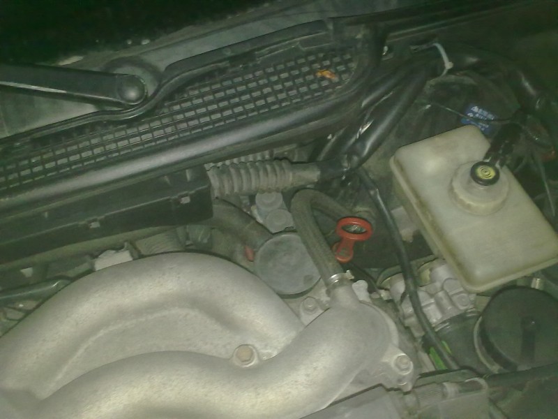 30072010265.jpg