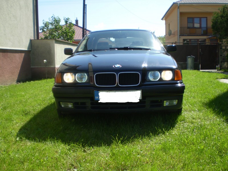 P5080087I.jpg