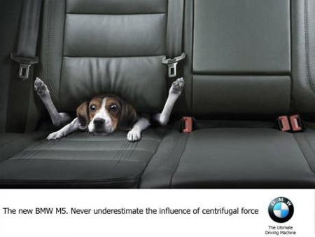 bmw_m5_funny_dog_ad.jpg