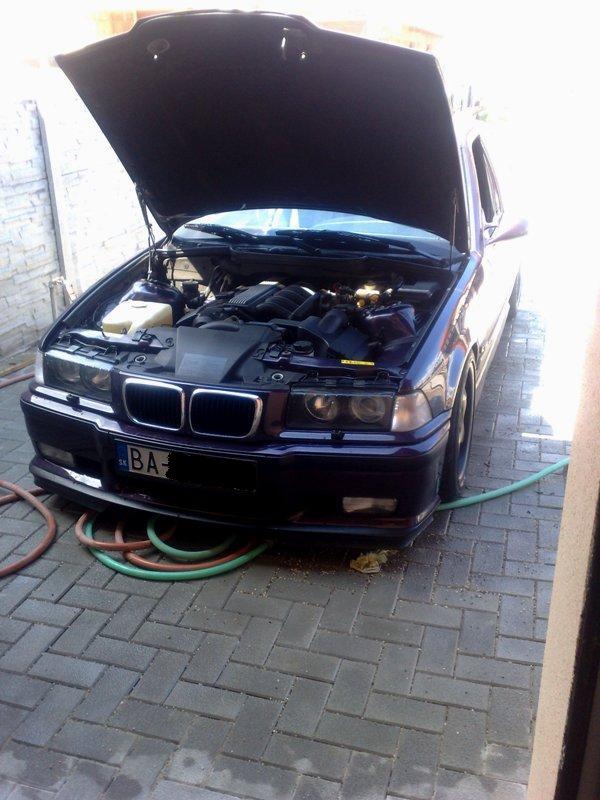 10082010560.jpg