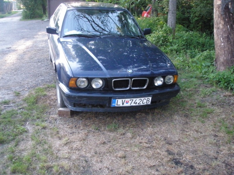 P8110082.JPG
