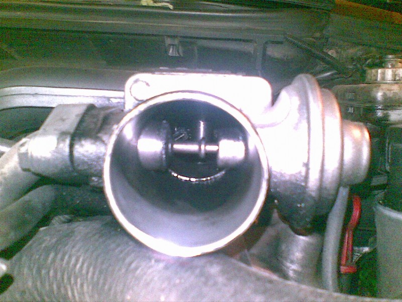 01092010.jpg