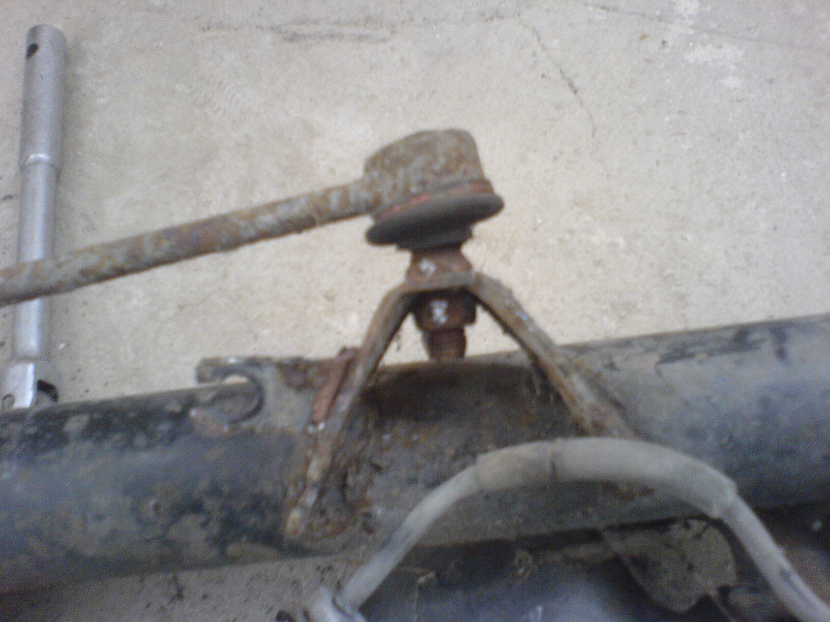 DSC01285.JPG