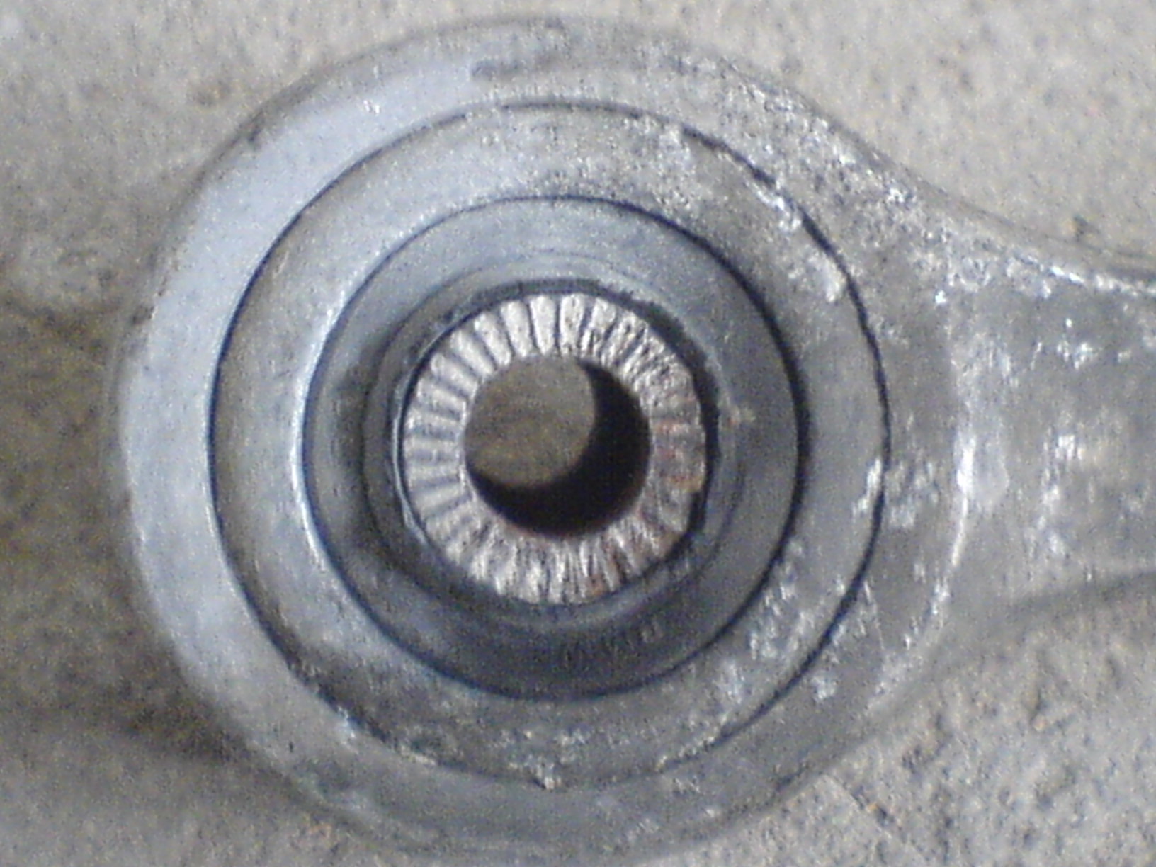 DSC01287.JPG