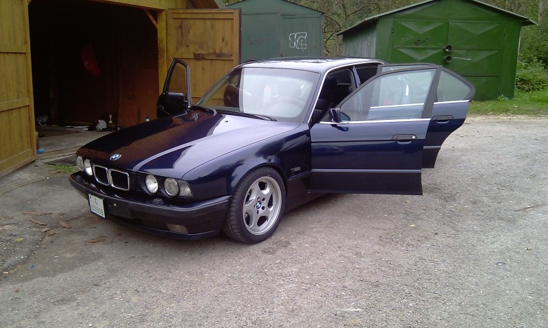 IMAG0254.jpg