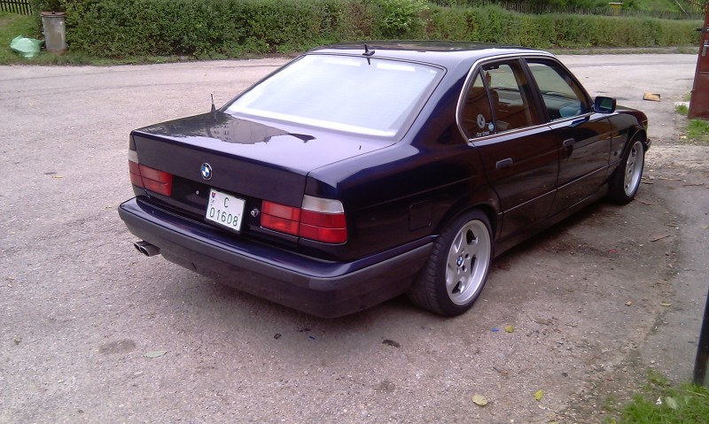 IMAG0266.jpg