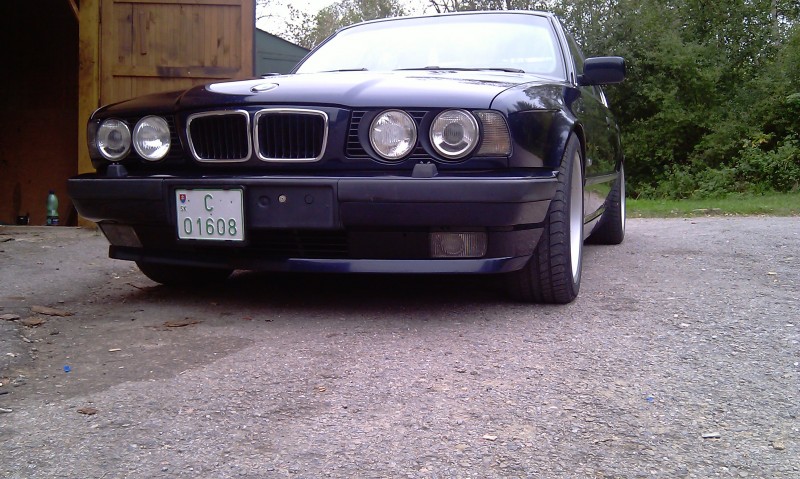 IMAG0269.jpg