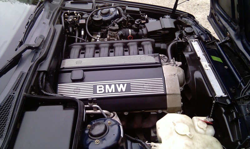 IMAG0261.jpg