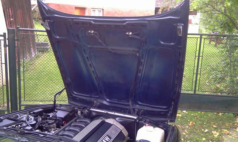 IMAG0280.jpg