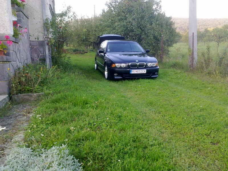 E39.jpg