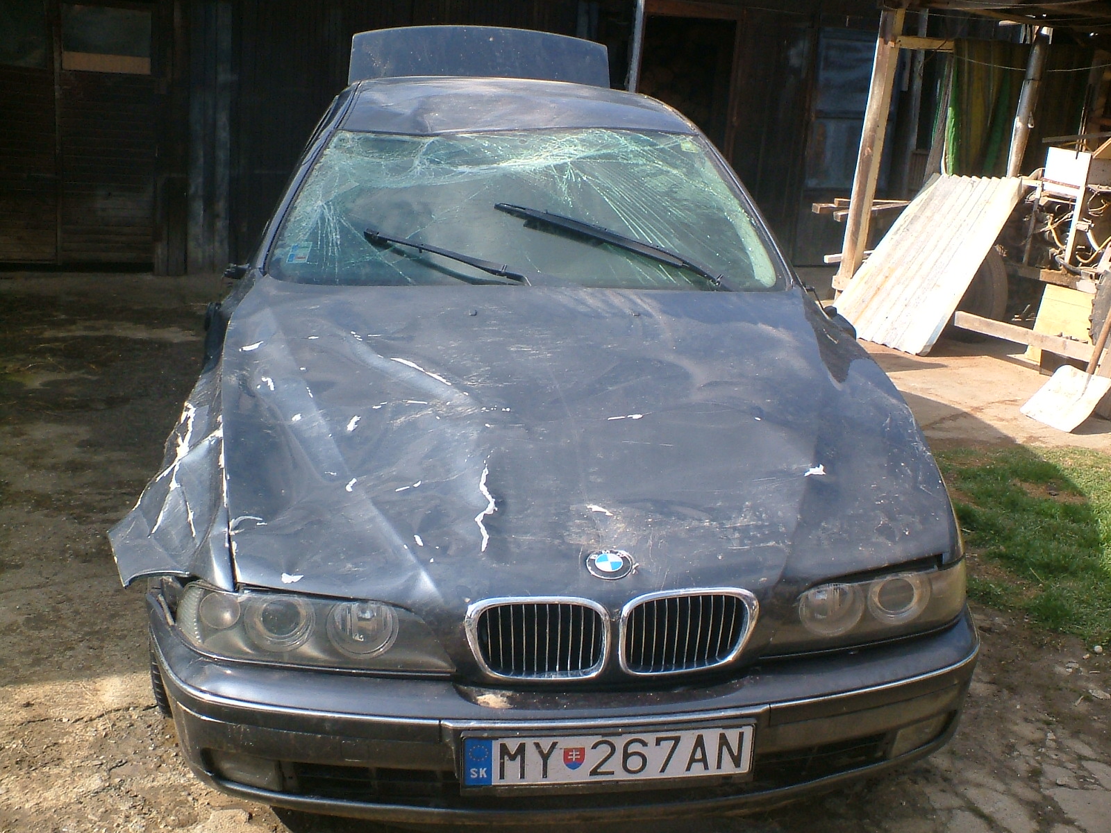 DSCF0297.JPG
