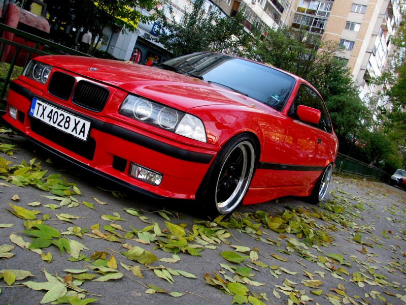 4524966513_bd8ed7ecab_b.jpg