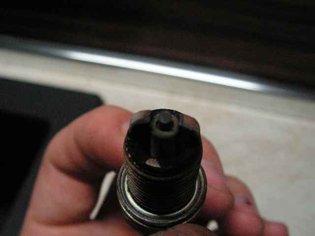 PICT1402.JPG