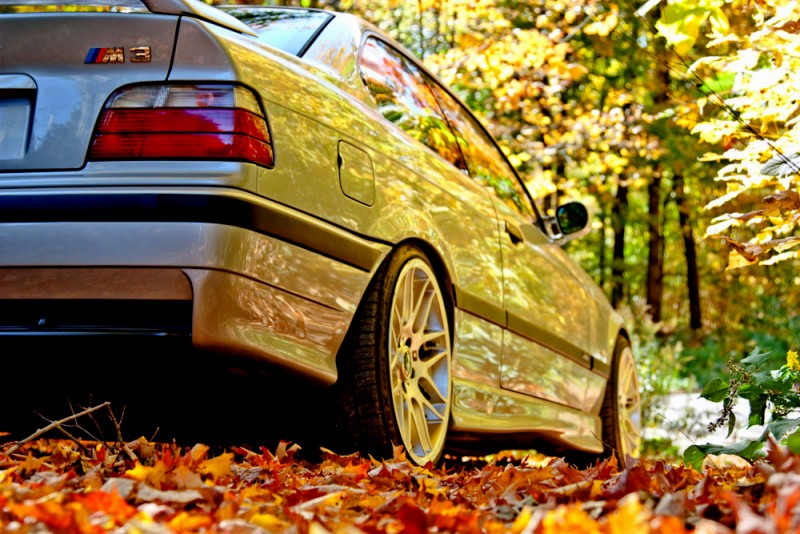 autumn14.jpg