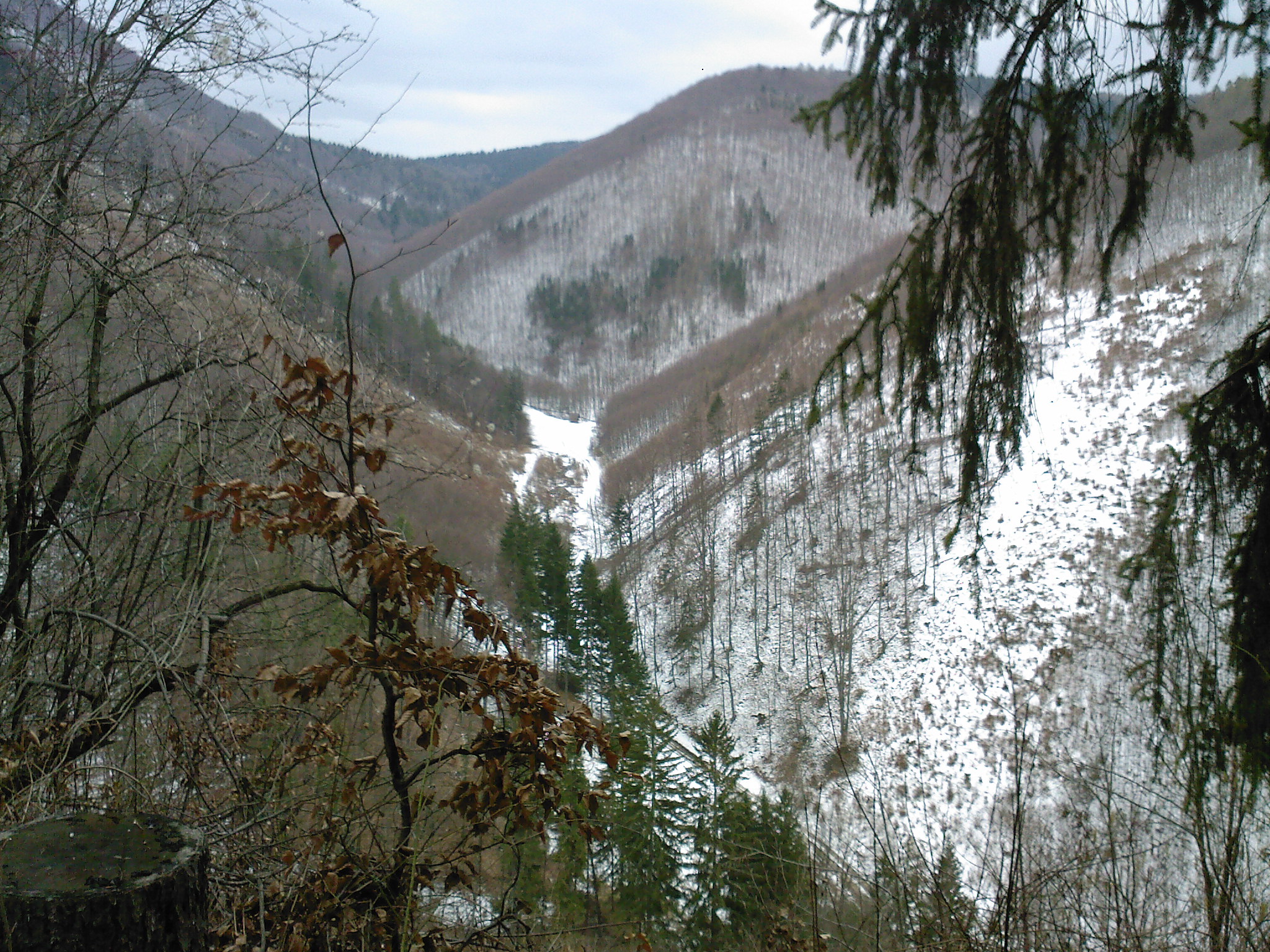 SP_A0174.jpg