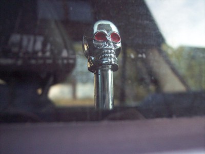 skull.jpg