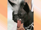 viewer (11).png