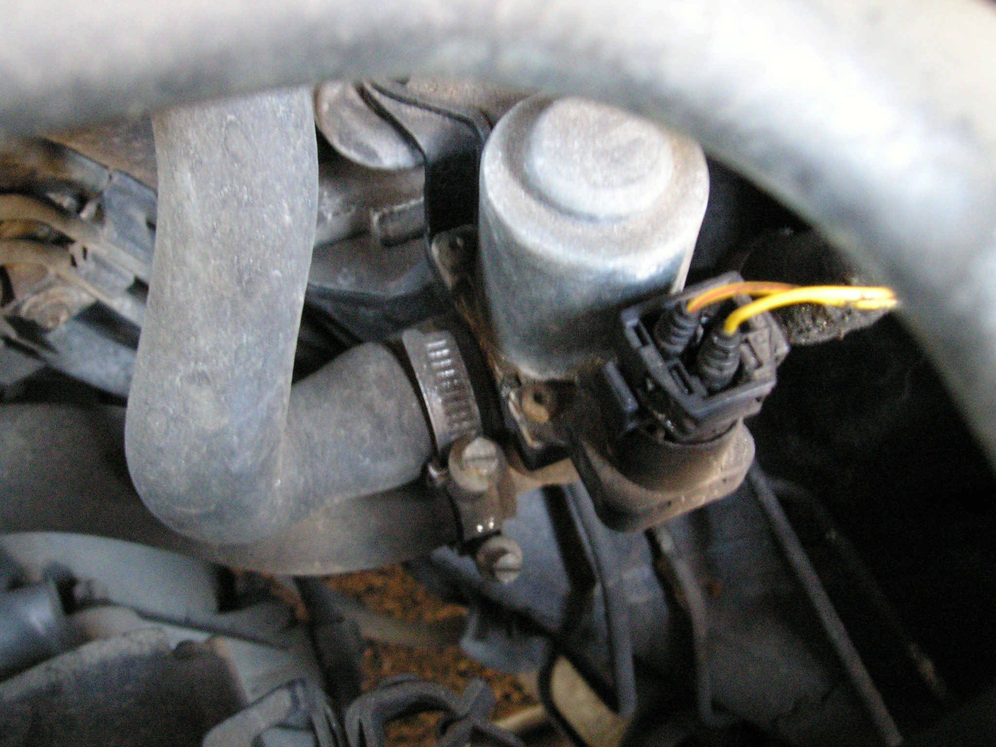 P1013715.JPG