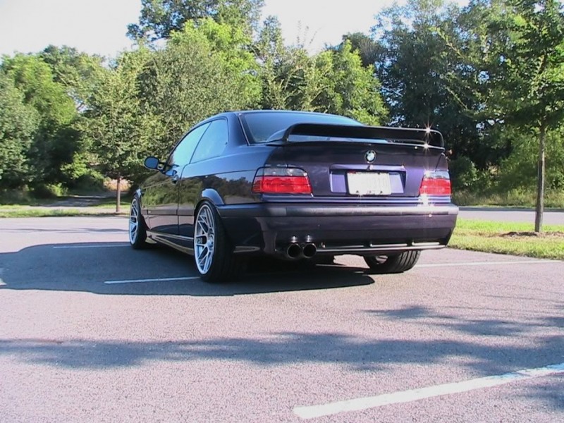 apex8.jpg