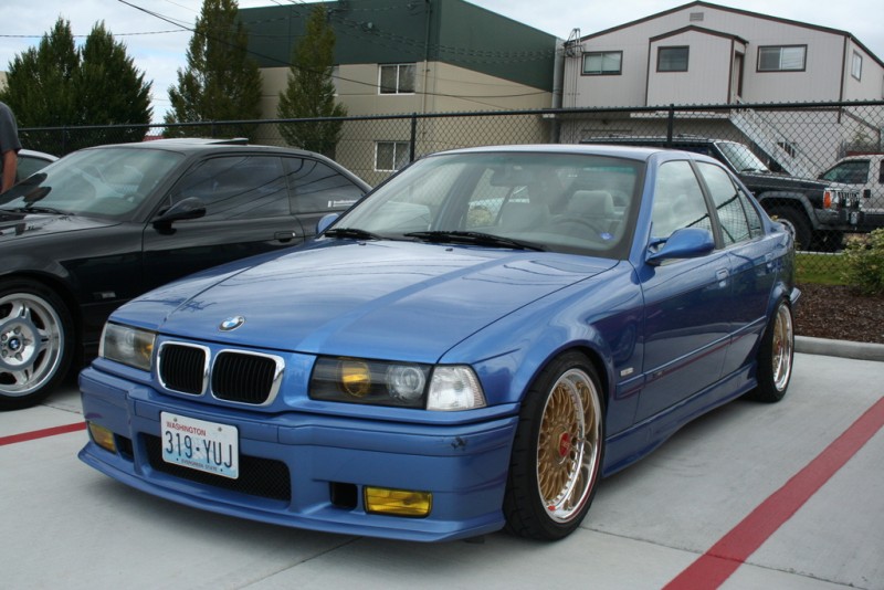 img4310x.jpg