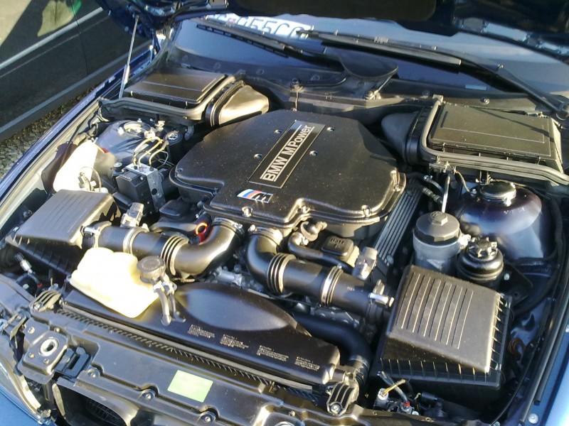 29102010504.jpg