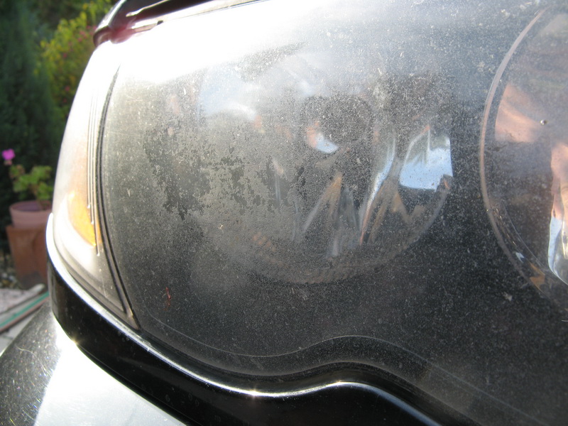 IMG_2325_resize.JPG