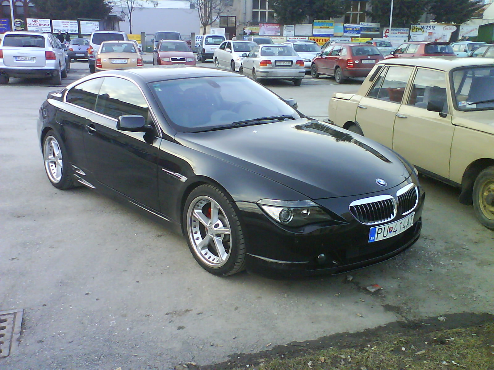 DSC00367.JPG