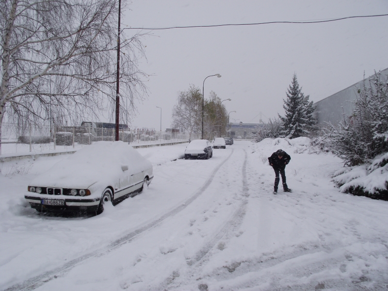 DSCF0811.JPG