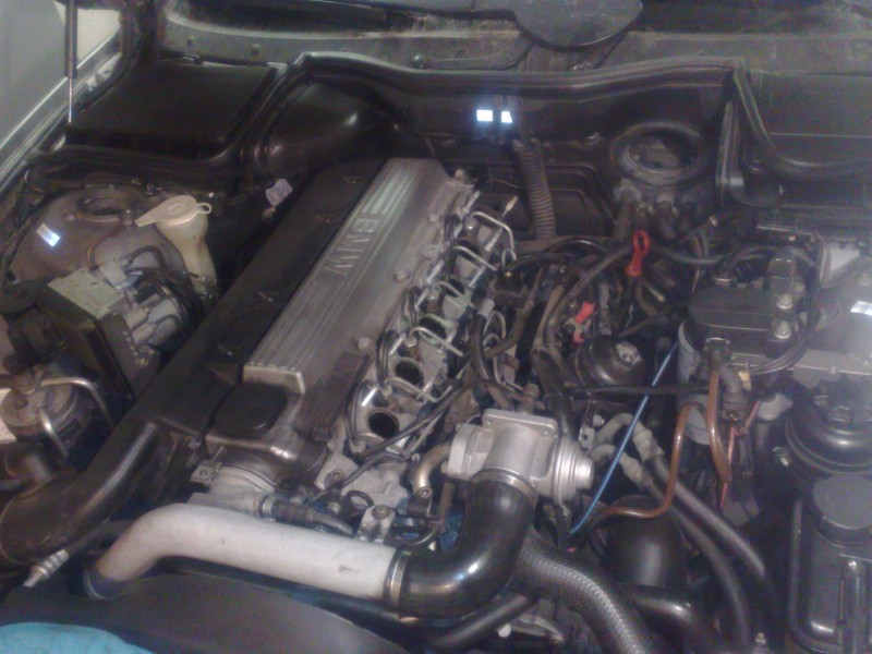 30112010461.jpg