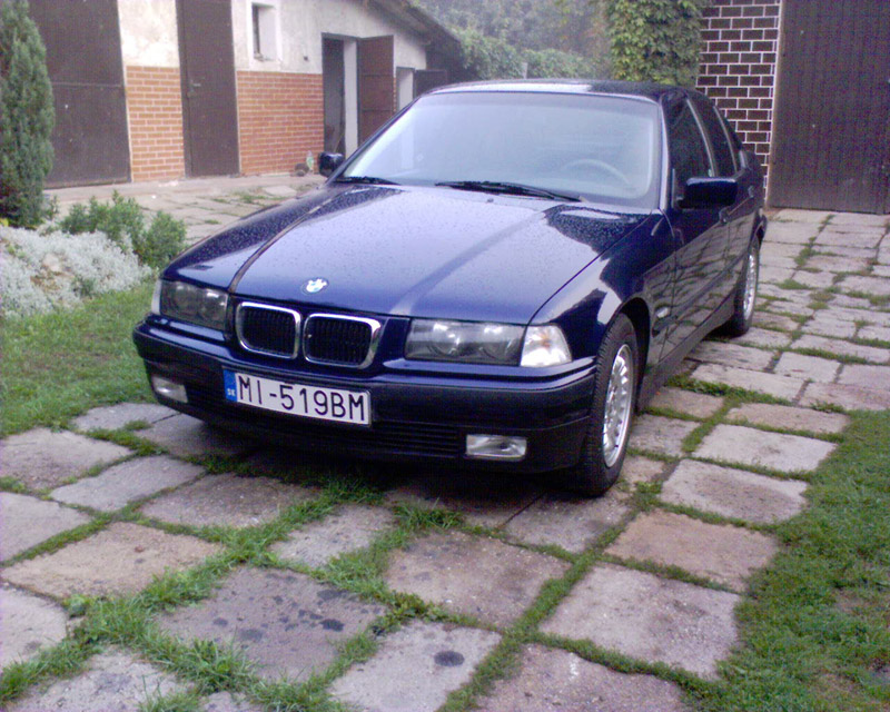 moje bawo1.jpg