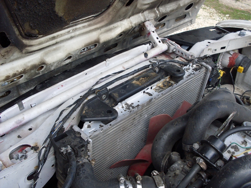 SDC11259.JPG