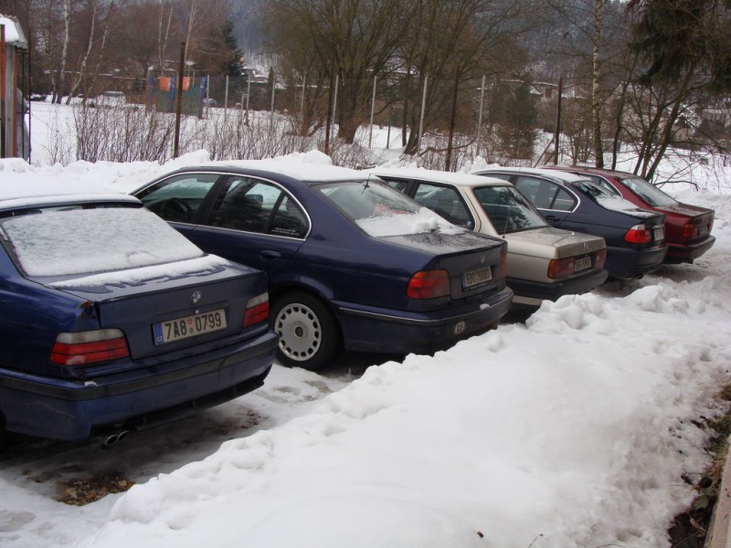 DSC01263.jpg