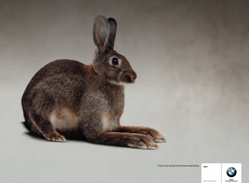 BMW_Rabbit_TBWA_Istanbul-lg.jpg