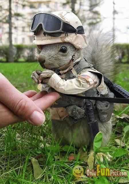 tiny-soldier.jpg
